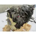 MITSUBISHI 4M50 Engine Assembly thumbnail 16