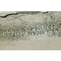 Mack CHU613 Axle Assy, Fr (4WD) thumbnail 5