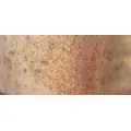 Mack CXU632 DPF (Diesel Particulate Filter) thumbnail 2