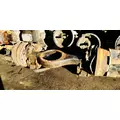 USED Axle Housing (Front) Mack CRD92+93 for sale thumbnail