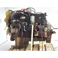 Mercedes MB 906 Engine Assembly thumbnail 6