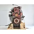 Mercedes MBE 904 Engine Assembly thumbnail 3