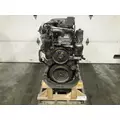 Mercedes MBE906 Engine Assembly thumbnail 1