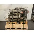 Mercedes MBE906 Engine Assembly thumbnail 3