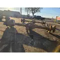 Meritor/Rockwell MS10113 Axle Housings (Rear) thumbnail 1