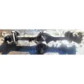 Meritor/Rockwell MS113 Differential Housing (Single or Rear) thumbnail 3