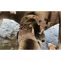 Meritor/Rockwell RS 21-145 Axle Assembly, Rear thumbnail 4