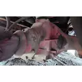 Meritor/Rockwell RS24160 Rears (Rear) thumbnail 4