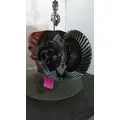 RECONDITIONED BY NON-OE Differential Assembly (Front, Rear) MERITOR-ROCKWELL RDL23160R391 for sale thumbnail