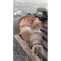 Meritor/Rockwell SQHD Rears (Front) thumbnail 1