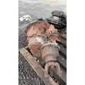  Rears (Front) Meritor/Rockwell SQHD for sale thumbnail