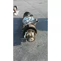 USED - W/HUBS Axle Housing (Front) MERITOR-ROCKWELL RD23160 for sale thumbnail