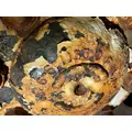 Meritor 3202Z9126 Axle Shaft thumbnail 2