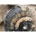 Meritor 3206P1342 Axle Shaft thumbnail 3