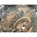 Meritor 3206P1342 Axle Shaft thumbnail 3