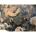 Meritor 3206R1344 Axle Shaft thumbnail 3