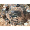 Meritor 3206V1348 Axle Shaft thumbnail 2