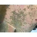 Meritor MD20143 Rear Differential (PDA) thumbnail 3