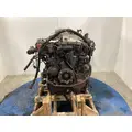 Mitsubishi 4M50-3AT8 Engine Assembly thumbnail 11