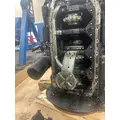 Mitsubishi 4M50-3AT8 Engine Assembly thumbnail 7