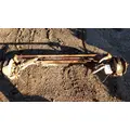 Mitsubishi FE140 Axle Beam (Front) thumbnail 1