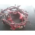 N/A Other Wire Harness, Transmission thumbnail 1