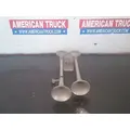 NOT AVAILABLE N/A Body Parts, Misc. thumbnail 1