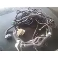 OTHER Other Body Wiring Harness thumbnail 1