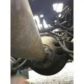  Rears (Rear) Other Other for sale thumbnail
