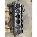 PACCAR 0965957 Cylinder Block thumbnail 5