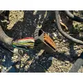 PACCAR 348 Engine Wiring Harness thumbnail 3