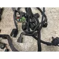 PACCAR 5316903 Engine Wiring Harness thumbnail 5