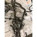 PACCAR MX  13 Engine Wiring Harness thumbnail 1