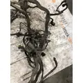 PACCAR MX  13 Engine Wiring Harness thumbnail 3