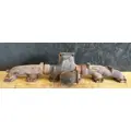 PACCAR MX-13 EPA 10 Exhaust Manifold thumbnail 3