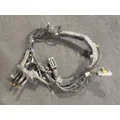 PACCAR MX-13 EPA17 Engine Wiring Harness thumbnail 1