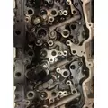 PACCAR MX-13 Cylinder Head thumbnail 11