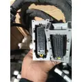 PACCAR MX-13 ENGINE WIRING HARNESS thumbnail 6
