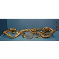 PACCAR MX-13 Engine Wiring Harness thumbnail 1