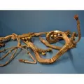 PACCAR MX-13 Engine Wiring Harness thumbnail 4