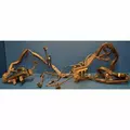 PACCAR MX-13 Engine Wiring Harness thumbnail 5