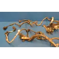 PACCAR MX-13 Engine Wiring Harness thumbnail 2