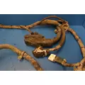 PACCAR MX-13 Engine Wiring Harness thumbnail 5