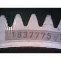 PACCAR MX-13 Timing Gears thumbnail 2