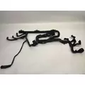 PACCAR MX11 Engine Wiring Harness thumbnail 2