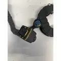PACCAR MX11 Engine Wiring Harness thumbnail 6