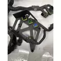 PACCAR MX13 Engine Wiring Harness thumbnail 2
