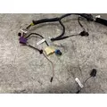 PACCAR P92-2862-1121 Wiring Harness thumbnail 2