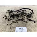 PACCAR P92-4571-001 Engine Wiring Harness thumbnail 1