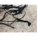 PACCAR P92-4571-001 Engine Wiring Harness thumbnail 4